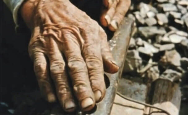 Sam's hands